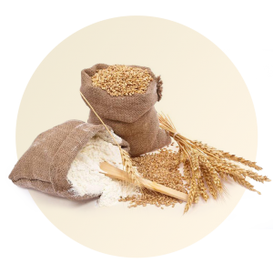 مواد اولیه